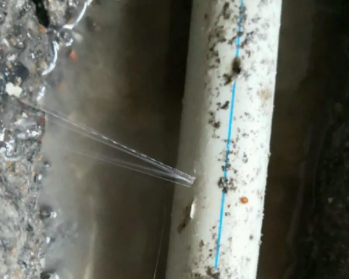 千山卫生间测漏水多少钱