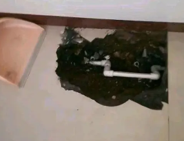 千山卫生间测漏水多少钱